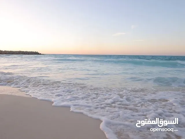 مارينا الساحل الشمالي