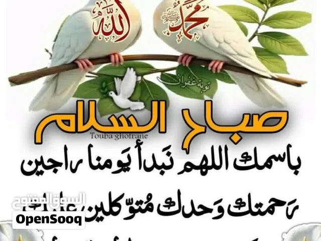 استوديو للايجار اجانب فقط