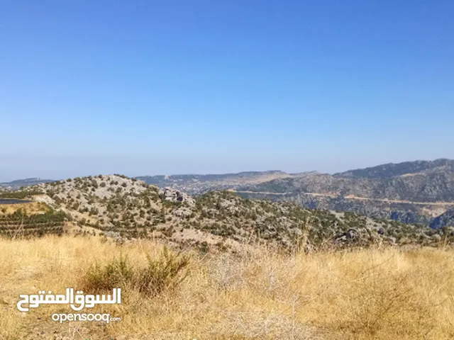 land in Amez for sale