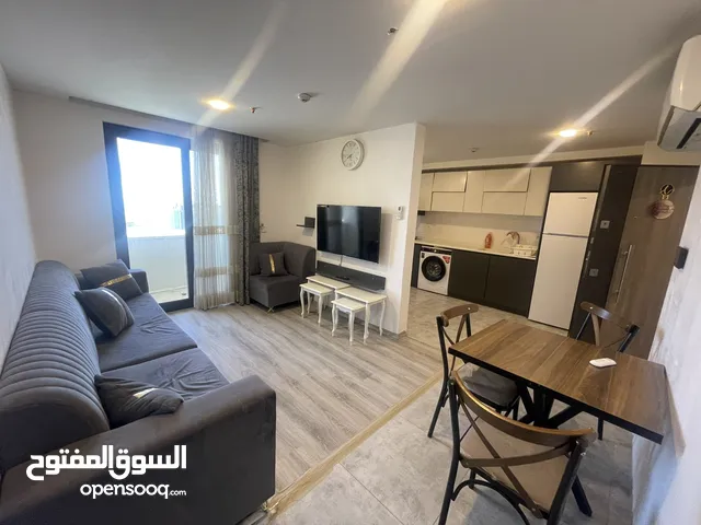 شقة مفروشة للايجار