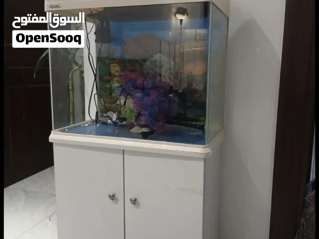 حوض سمك مع الطاولة
