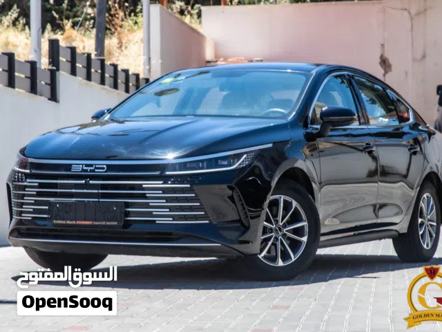 2025 BYD Destroyer 05