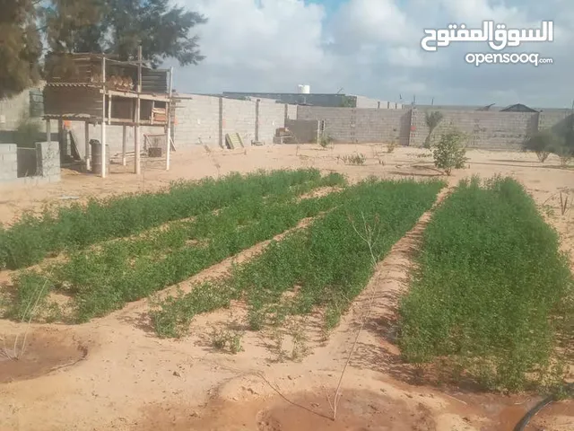 Northeast Land for Rent in Misrata Tamina