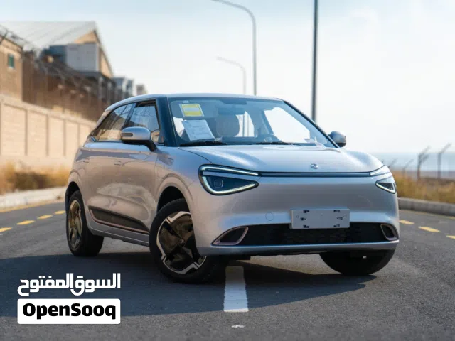 2025, Dongfeng, Nammi Box