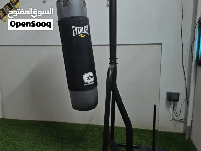 Everlast Boxing Bag