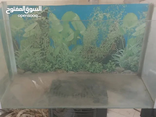 حوض سمك متر مع معداته للبيع بسعر حرررررررق