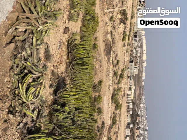 Residential Land for Sale in Taiz Other