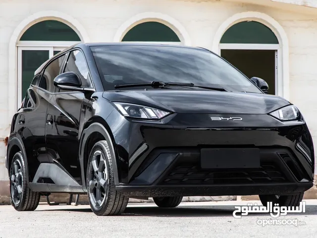 Used BYD Seagull in Zarqa