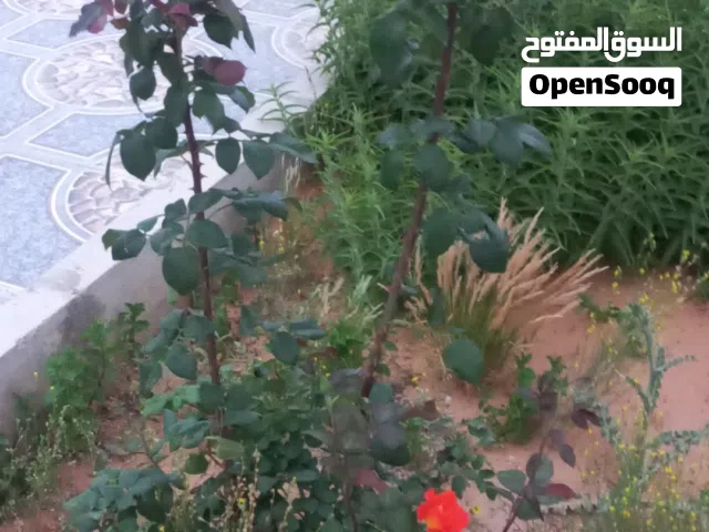 منزل للأيجار في وداي الربيع منطقة اللظفة