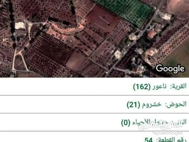 من الدلم لعشرين بدك واحد او كله مافي مشكله