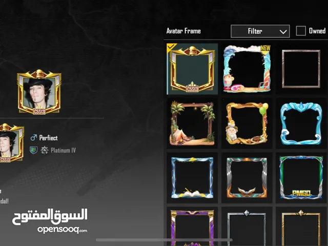 Pubg Accounts and Characters for Sale in Al Ain