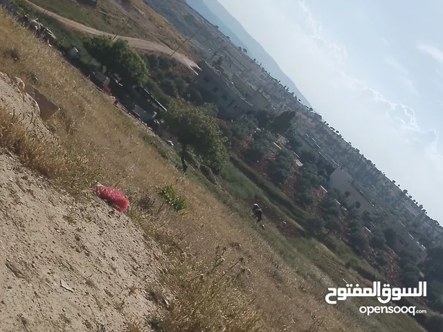 Mixed Use Land for Sale in Jerash Borma