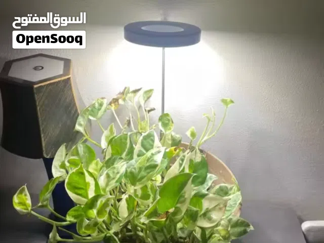 GROW LIGHT FOR IN DOOR PLANTS