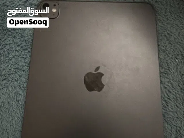 Apple iPad 256 GB in Sharjah