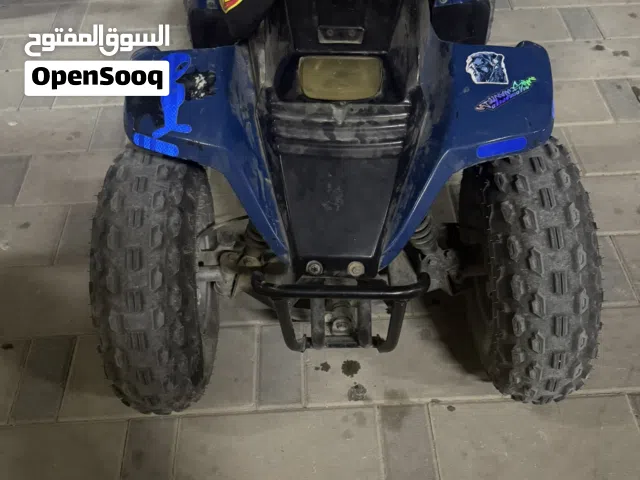 2019 اخرى اخرى