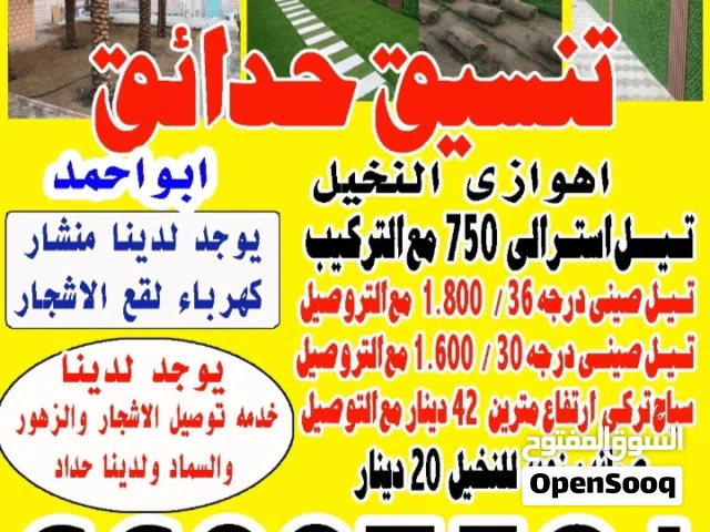 تنسيق حدائق ونخيل