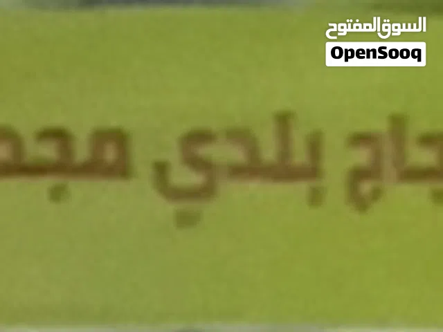 دجاج بلدي مجمد بجودة عالية