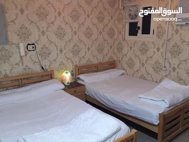 استديو مفروش