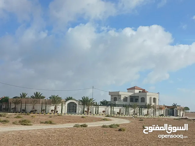 أرض إستثمارية 100/100 شارع المطار الجيزة حوض الموارس من المالك