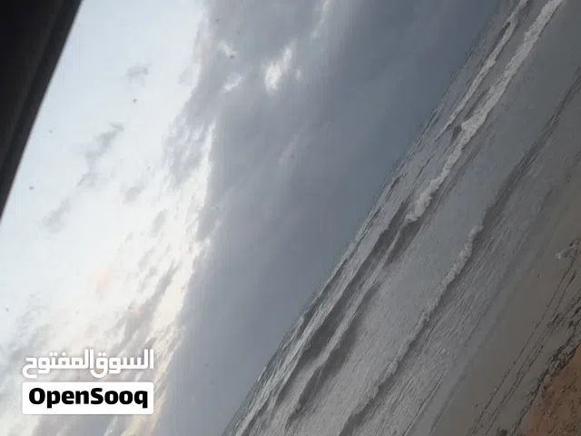 مطلوب كوبيا بركديلو للتبديل او دكر فرادي او انتى بيع .                ....                  ....