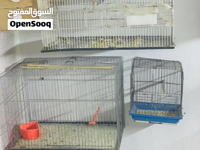 اقفاص للبيع