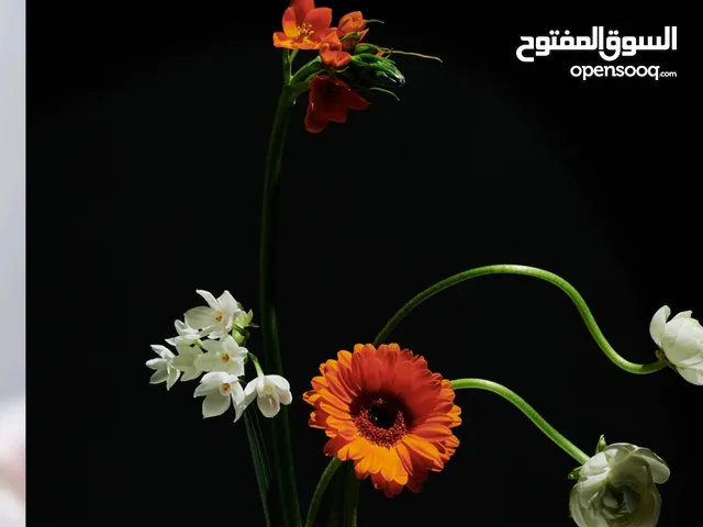 أبو عبدالله السعدي