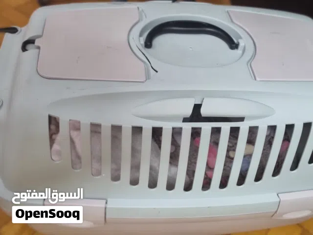 بوكس للتنقل للقطط الكييرة