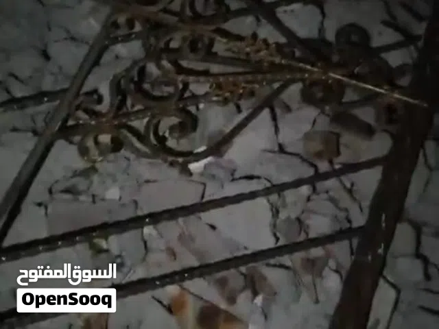 محجر نضيف جداً طول بي فوك ل6مترات نضيف قيم وانطي سعرك وتدلل مكاني بصره بهادريه