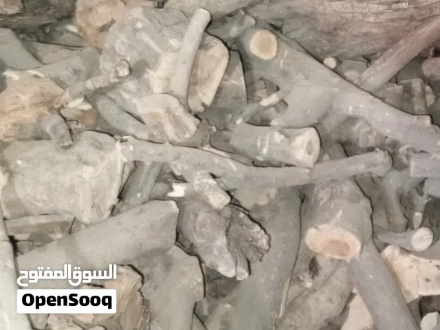 حطب للبيع اخضر ويابس