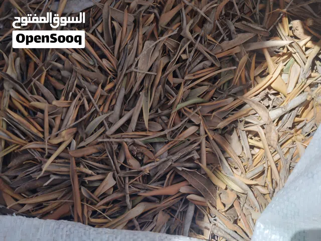 السلام عليكم موجود 8شكاير صريع للبيع