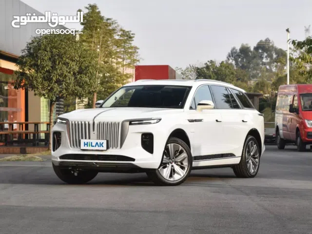 2023 هونج تشي E-HS9
