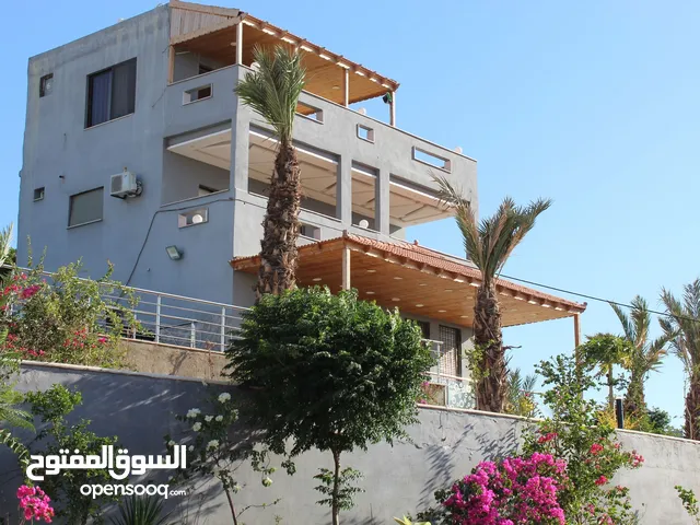 2 Bedrooms Chalet for Rent in Jordan Valley Ghor Al Kafrain