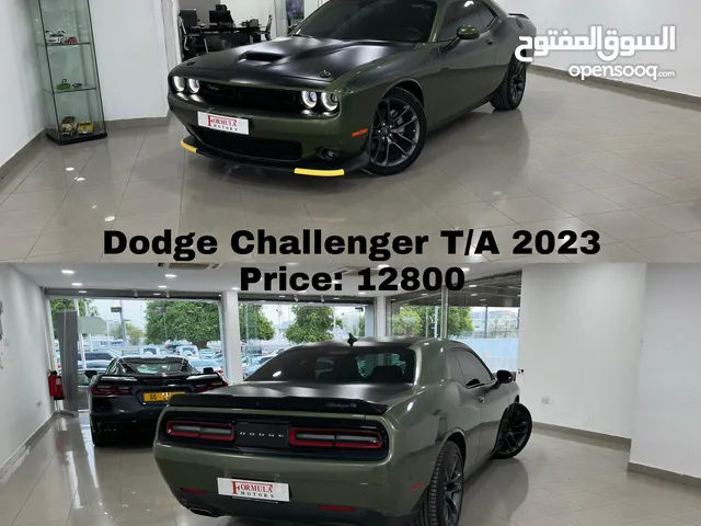 Used Dodge Challenger in Muscat