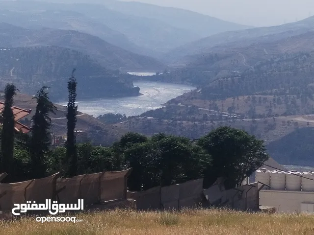 من اجمل مواقع المطلة على سد الملك طلال بالكامل خدمات متوفرة