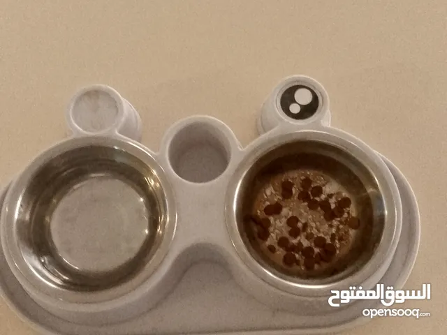 سيامي مكس هيمالايا مع كامل اغراضها للتواصل و اتساب فقط و يوجد مجال للتفاهم بالسعر