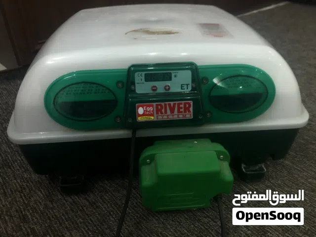 حضانه ريفر الإيطاليه تحمل 49 دحيه نسبت تفقيص ممتازة قلاب توماتك السعر 750