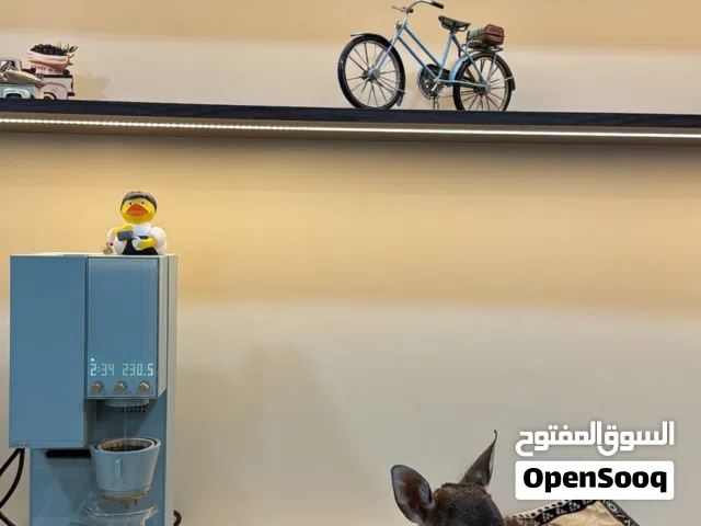 غزال فلودير اليف