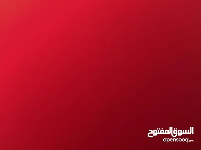 مجدي خلايلة