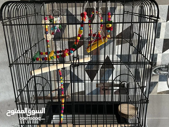 Big Bird Cage For Sale