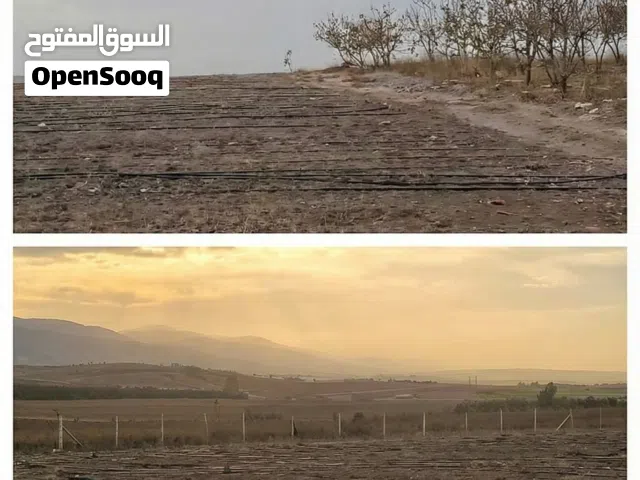 "أرض فلاحية مساحتها 12 هكتار مع منزل للعمال،  موثّقة بالدفتر العقاري، تقع مع حدود المغرب باب العسة