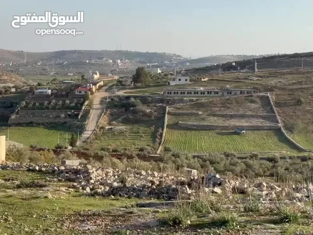 Residential Land for Sale in Mafraq Nadira