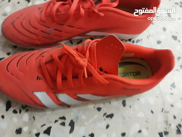 سبيدرو اديداس بريديتور ربي يبارك جاي من برا استعمال خفيف سبب البيع انه مجاش عليا العنوان باب بن غشير