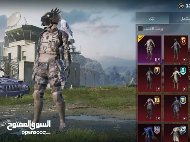 Pubg Accounts and Characters for Sale in Irbid