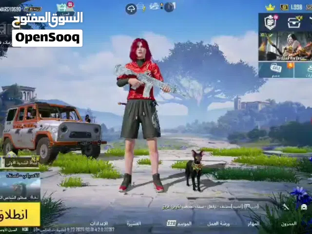 Pubg Accounts and Characters for Sale in Saada