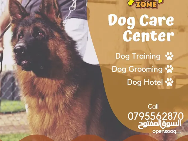 The pet zone center
