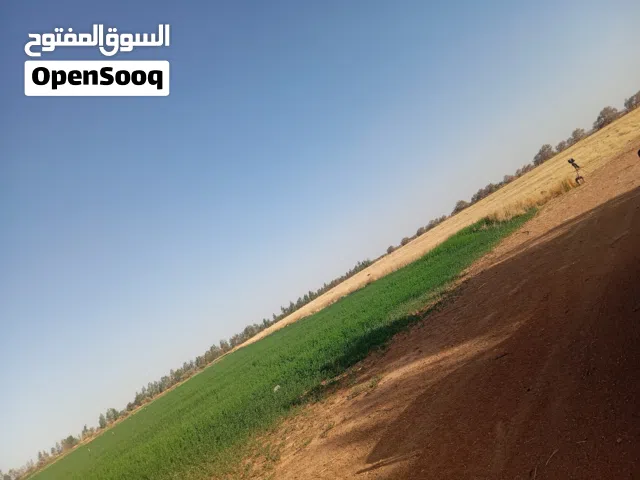مطلوب كمبيو اوريون 2008