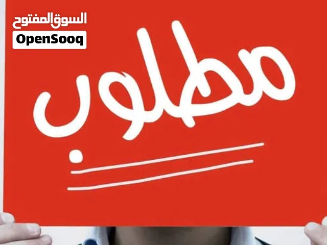 Apple Others Other in Tripoli