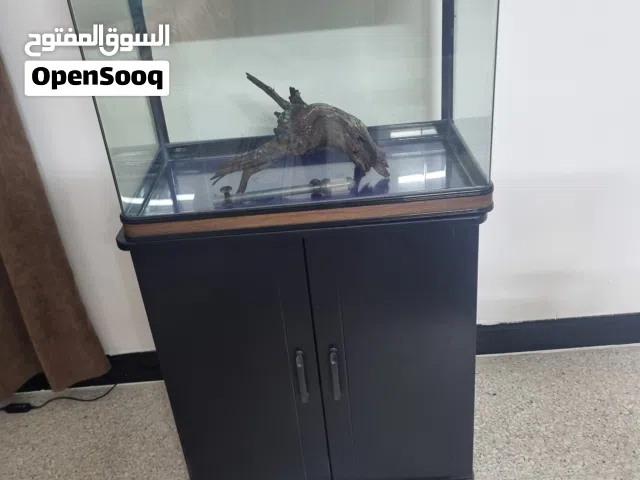 حوض سمك 60 سم نوع بوفيت نضافة 100% مع فلتر داخلي نوع sun sun مع شمعة RGB متغيرة وشمعة اضافية