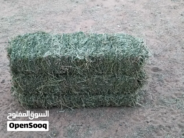 بال ربي يبارك 25بالة كبس ووزن وتوا متربطه