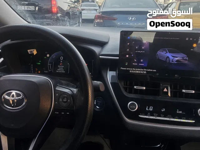 كوريلا 24 هايبرد